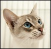 2016 Dec Tonkyway Zohreh 1yr 9 mths ... Photo by Mike Smith